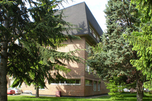 Francisco de Vitoria