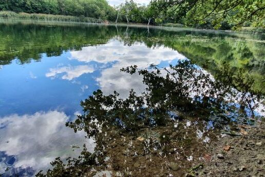 Las Huellas de la Covid-19