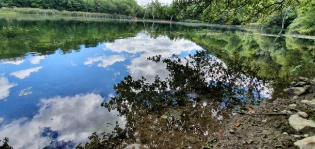 Las Huellas de la Covid-19 Las Huellas de la Covid-19